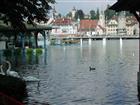 Picture: 05082303.JPG