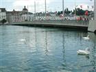 Picture: 05082460.JPG