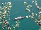 Picture: 06051312.jpg