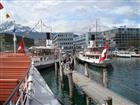 Picture: 080419005.JPG