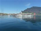 Picture: 11040727.jpg