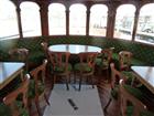 Picture: 11040842.JPG