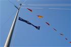 Picture: 10091914.jpg