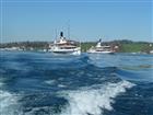 Picture: 11040726.JPG