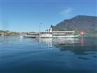 Picture: 11040727.JPG
