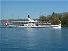 Picture: 11040729.JPG