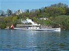 Picture: 11040731.JPG