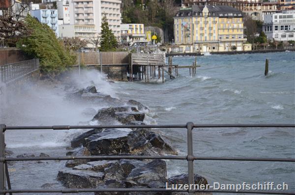 Picture: DSC_9738.JPG