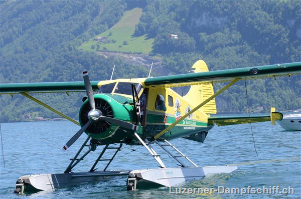 Picture: DSC_6239.JPG