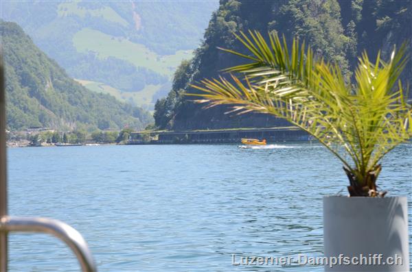 Picture: DSC_6296.JPG