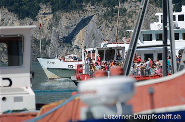 Picture: DSC_6085.JPG