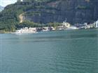 Picture: 11090235.JPG