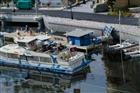 Picture: DSC_7086.jpg