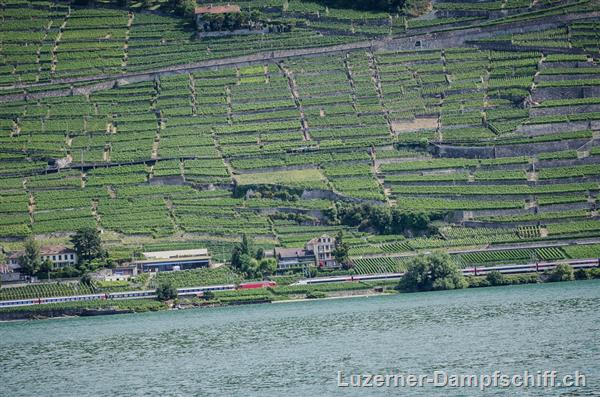 Picture: DSC_7676.jpg